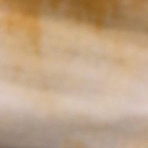 Meet your Posher, Genesis